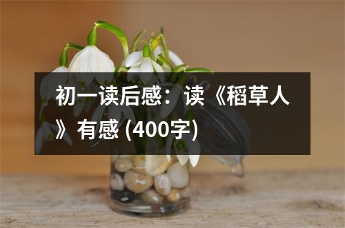 初一讀后感：讀《稻草人》有感 (400字)
