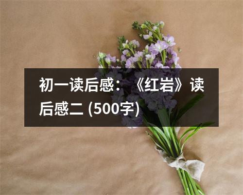 初一讀后感：《紅巖》讀后感二 (500字)