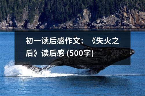 初一讀后感作文：《失火之后》讀后感 (500字)