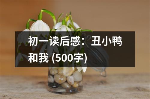 初一讀后感：丑小鴨和我 (500字)