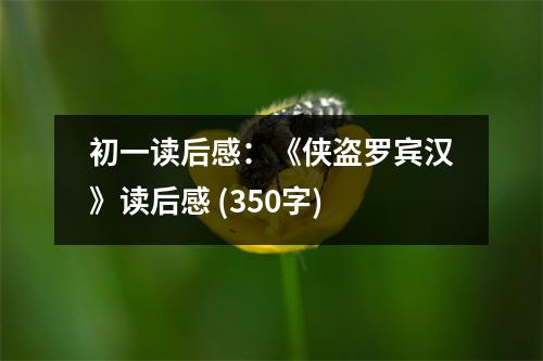 初一讀后感：《俠盜羅賓漢》讀后感 (350字)