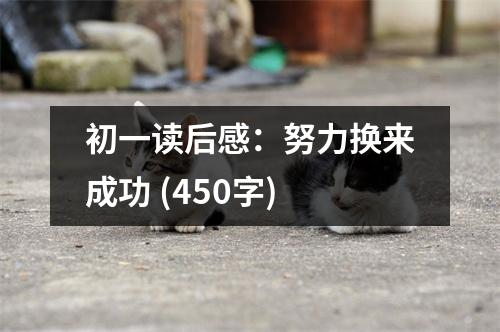 初一讀后感：努力換來成功 (450字)