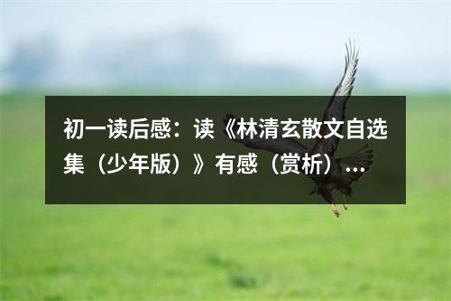 初一讀后感：讀《林清玄散文自選集（少年版）》有感（賞析） (450字)