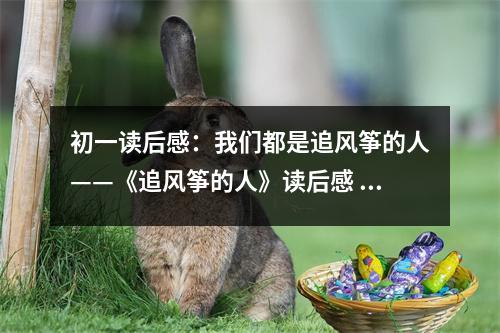 初一讀后感：我們都是追風箏的人——《追風箏的人》讀后感 (400字)