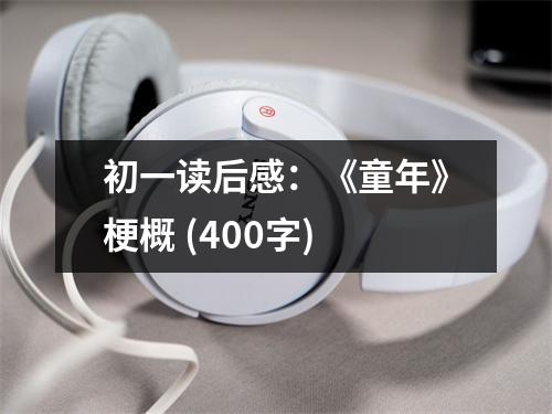 初一讀后感：《童年》梗概 (400字)