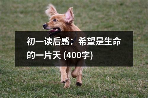 初一讀后感：希望是生命的一片天 (400字)