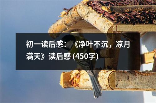 初一讀后感：《凈葉不沉，涼月滿天》讀后感 (450字)