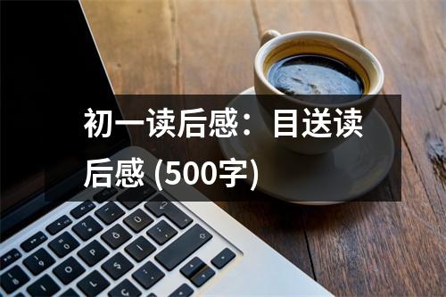 初一讀后感：目送讀后感 (500字)