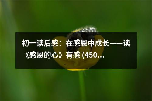 初一讀后感：在感恩中成長(zhǎng)——讀《感恩的心》有感 (450字)