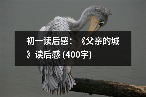 初一讀后感：《父親的城》讀后感 (400字)