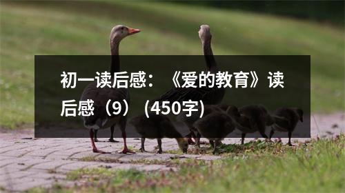 初一讀后感：《愛(ài)的教育》讀后感（9） (450字)