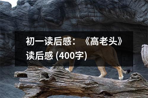 初一讀后感：《高老頭》讀后感 (400字)
