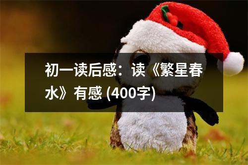 初一讀后感：讀《繁星春水》有感 (400字)