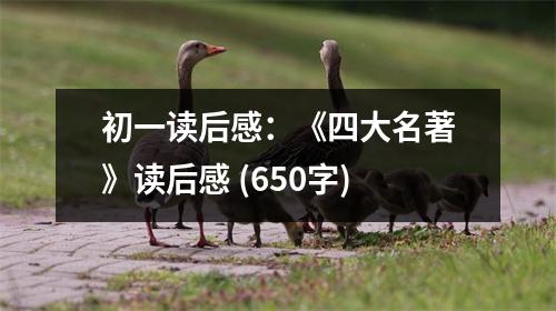 初一讀后感：《四大名著》讀后感 (650字)