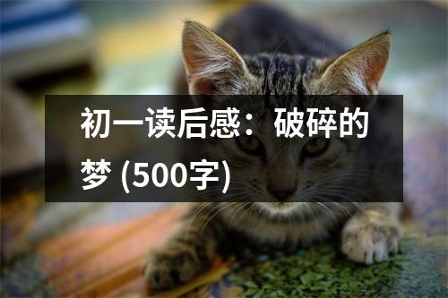 初一讀后感：破碎的夢 (500字)