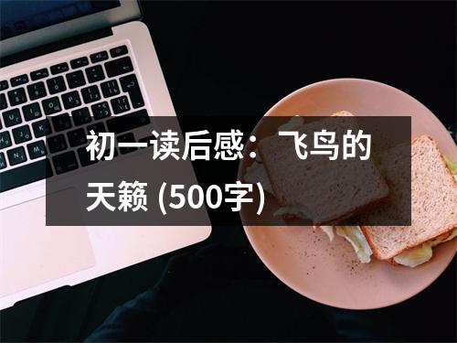 初一讀后感：飛鳥的天籟 (500字)