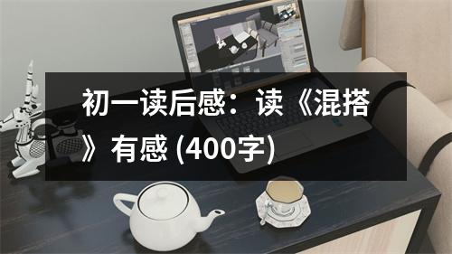 初一讀后感：讀《混搭》有感 (400字)