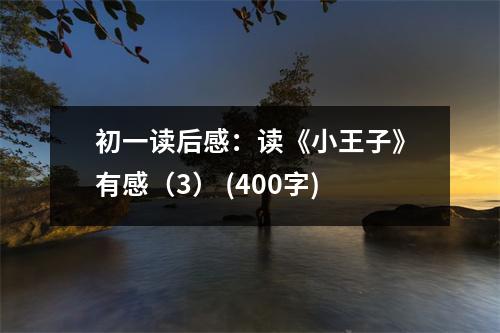 初一讀后感：讀《小王子》有感（3） (400字)