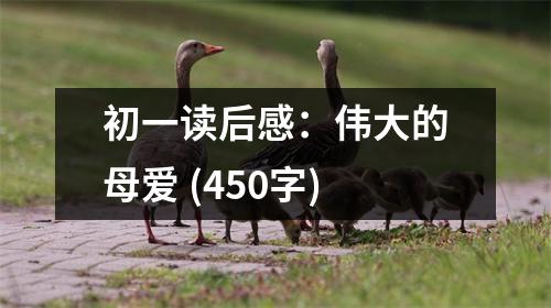 初一讀后感：偉大的母愛 (450字)