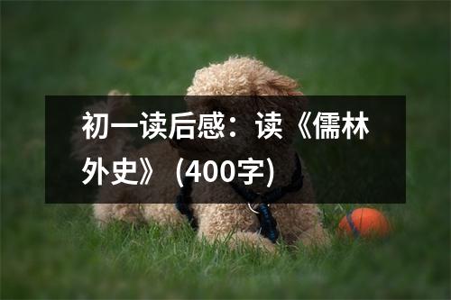 初一讀后感：讀《儒林外史》 (400字)