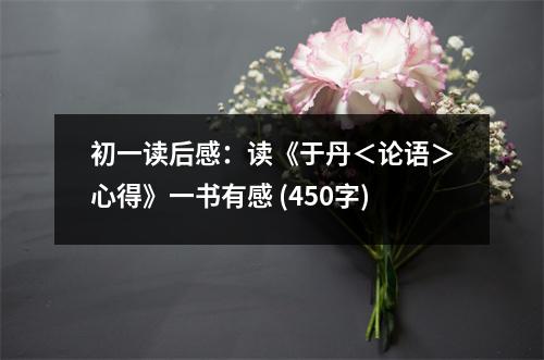 初一讀后感：讀《于丹＜論語＞心得》一書有感 (450字)