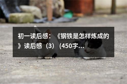 初一讀后感：《鋼鐵是怎樣煉成的》讀后感（3） (450字)