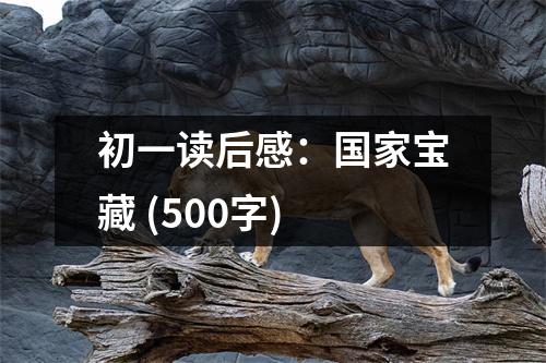 初一讀后感：國家寶藏 (500字)