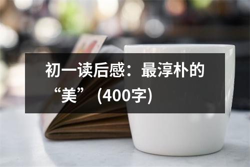 初一讀后感：最淳樸的“美” (400字)