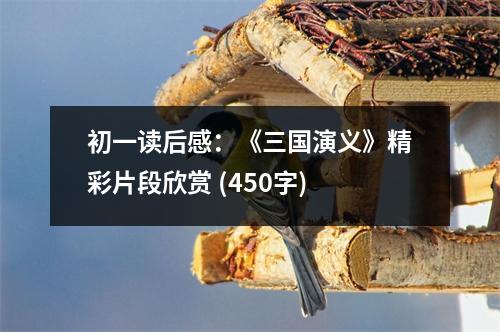 初一讀后感：《三國(guó)演義》精彩片段欣賞 (450字)