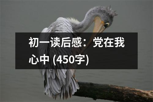初一讀后感：黨在我心中 (450字)