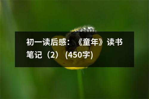 初一讀后感：《童年》讀書筆記（2） (450字)