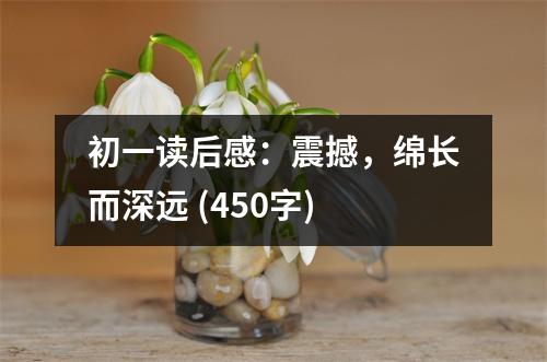初一讀后感：震撼，綿長而深遠(yuǎn) (450字)