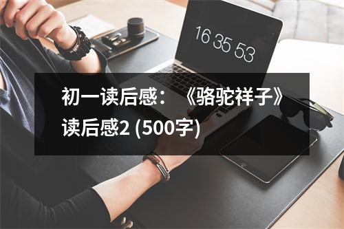 初一讀后感：《駱駝祥子》讀后感2 (500字)