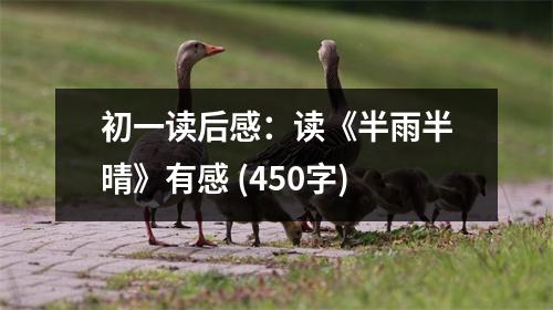 初一讀后感：讀《半雨半晴》有感 (450字)