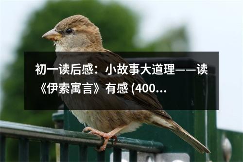初一讀后感：小故事大道理——讀《伊索寓言》有感 (400字)