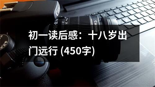 初一讀后感：十八歲出門遠行 (450字)