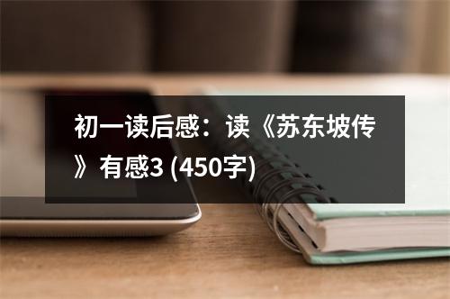初一讀后感：讀《蘇東坡傳》有感3 (450字)
