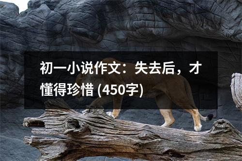初一小說(shuō)作文：失去后，才懂得珍惜 (450字)