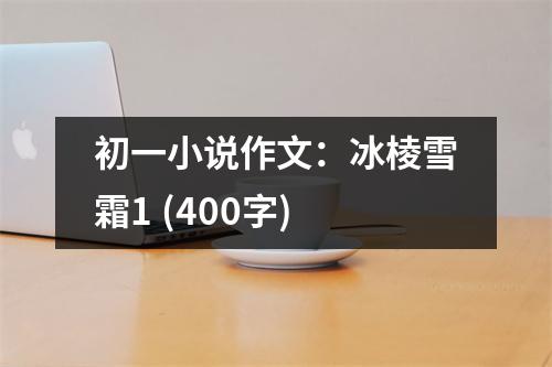 初一小說作文：冰棱雪霜1 (400字)