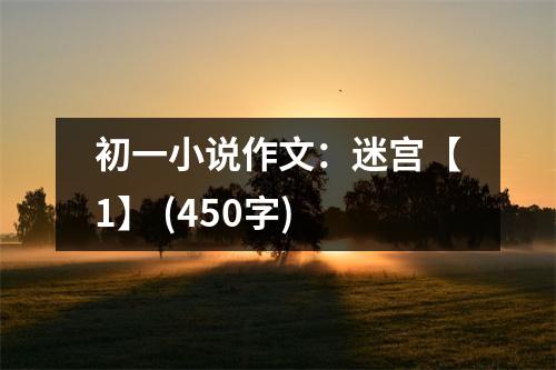 初一小說(shuō)作文：迷宮【1】 (450字)