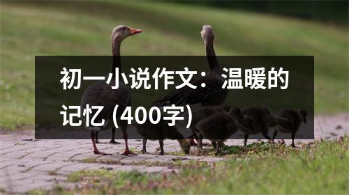 初一小說作文：溫暖的記憶 (400字)