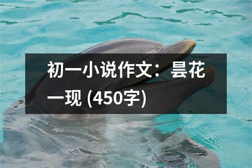 初一小說作文：曇花一現(xiàn) (450字)