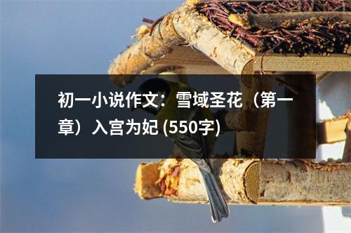 初一小說(shuō)作文：雪域圣花（第一章）入宮為妃 (550字)
