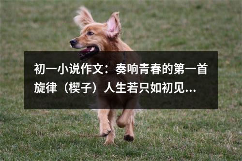 初一小說作文：奏響青春的第一首旋律（楔子）人生若只如初見 (450字)