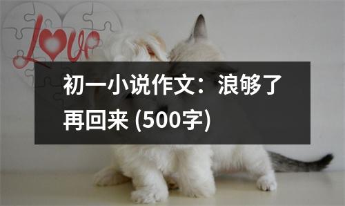 初一小說作文：浪夠了再回來 (500字)