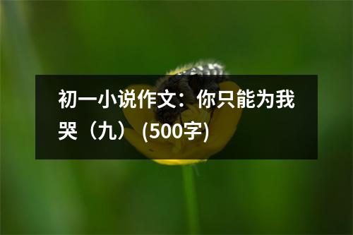 初一小說作文：你只能為我哭（九） (500字)