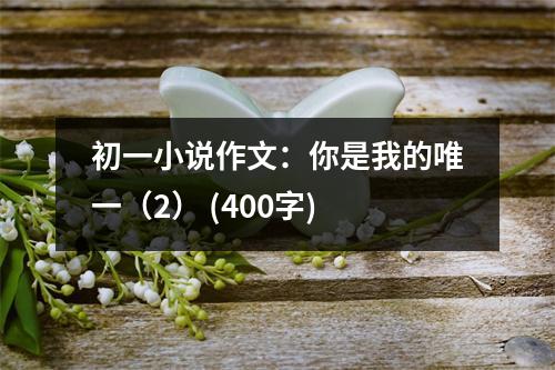 初一小說作文：你是我的唯一（2） (400字)