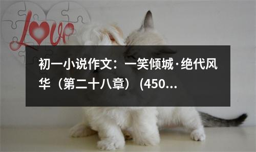 初一小說作文：一笑傾城·絕代風(fēng)華（第二十八章） (450字)