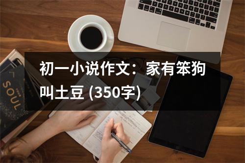 初一小說作文：家有笨狗叫土豆 (350字)