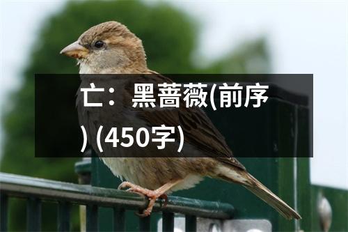 亡：黑薔薇(前序) (450字)